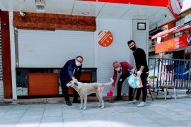 Karşıyaka can dostlarımızla kuşlara kaldı, onlar da unutulmadı