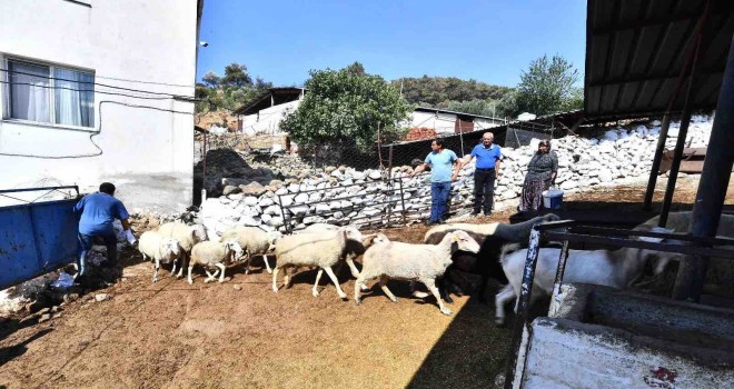 Yangından etkilenen köylerin yaraları sarılıyor