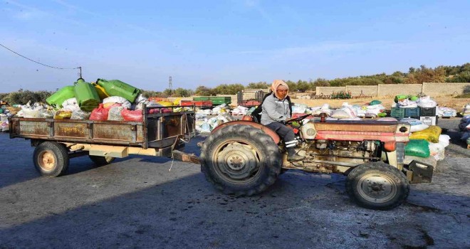 İzmir Büyükşehir'den zeytin üreticilerine destek