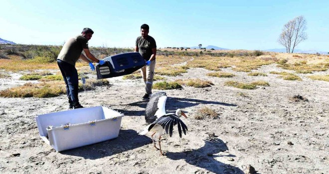 İzmir Doğal Yaşam Parkı yaban hayatın sakinlerine şifa dağıtıyor