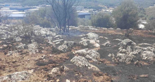 İzmir’de yangın fabrikalara ulaşmadan kontrol altına alındı