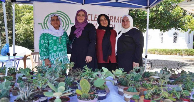 Hem tohumlar hem kadınlar güçleniyor