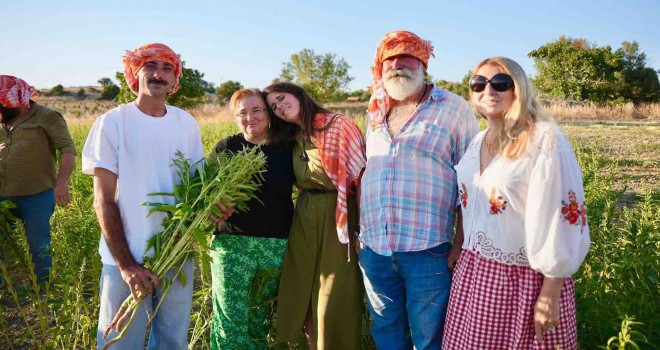 Çeşme'de ata tohumu susamda ilk hasat yapıldı