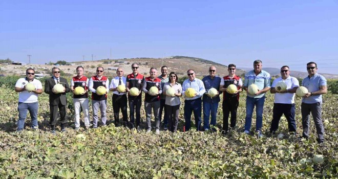 Foça'da 5. Geleneksel Kavun Hasat Şenliği coşkuyla kutlandı