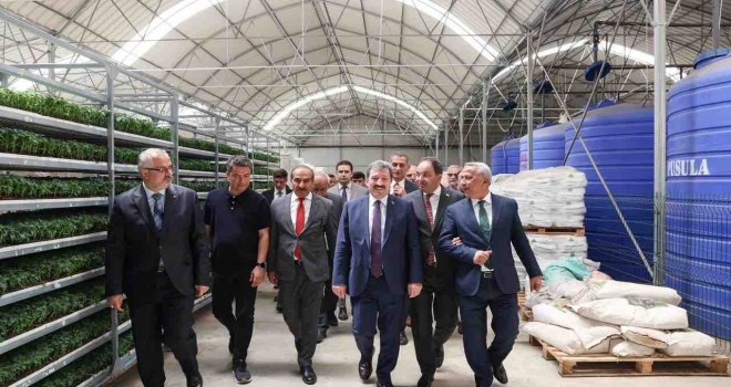 İzmir, Samsun’a meyve sebze sektöründe üretim ve ihracat koçluğu yapacak
