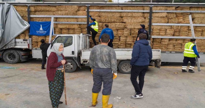 Yangın mağduru çiftçilere 225 ton yem desteği