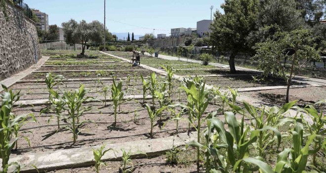 Karşıyaka’da tohumlar toprakla buluştu