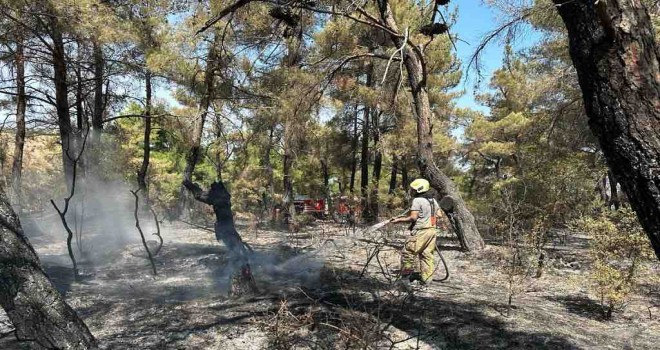 Çanakkale’deki yangına İzmir’den destek