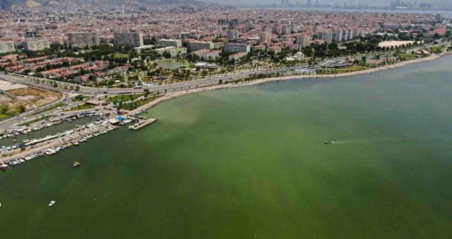 Karşıyaka'da deniz yeşile büründü