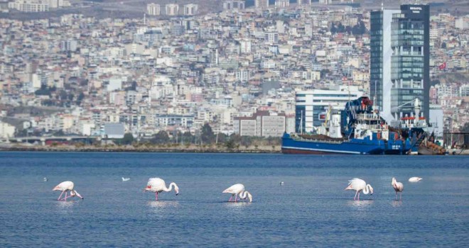 ''Sürdürülebilir İzmir Vizyonu''nda çalışmalar hızlandırıldı