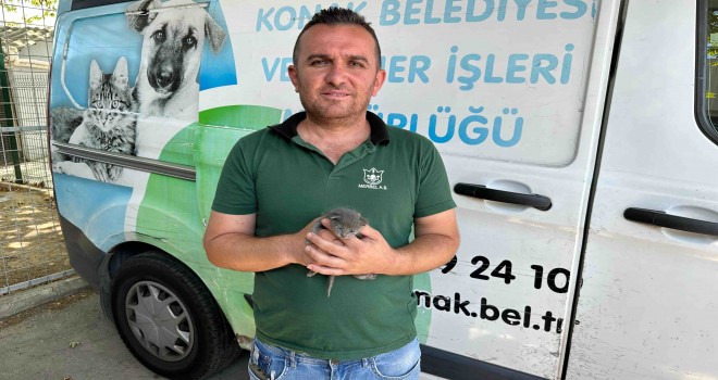 Konak’ta çöpten ''Umut'' doğdu