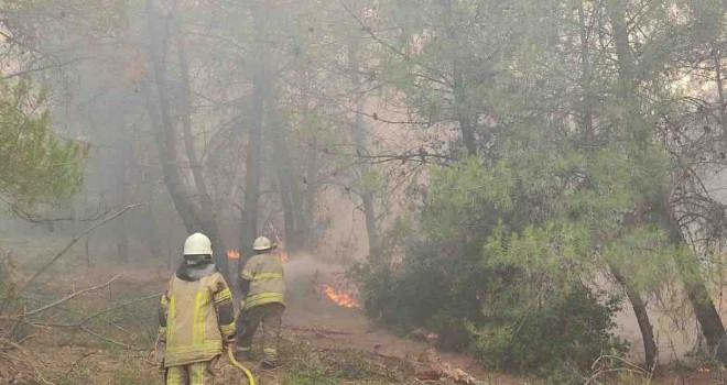 İzmir Büyükşehir kentin dört bir yanında yangınlarla mücadele ediyor