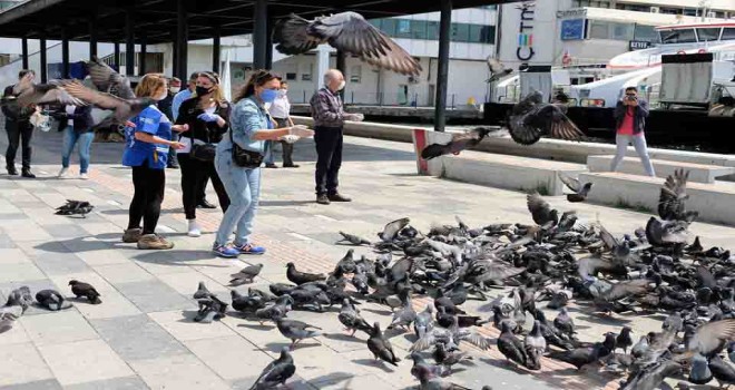 Karşıyaka'da 60 farklı noktada mama dağıtımı yapıldı