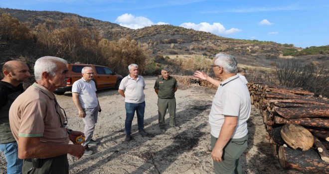 İzmir Orman Bölge Müdürü Yılmaz ağaçlandırma çalışmalarını inceledi