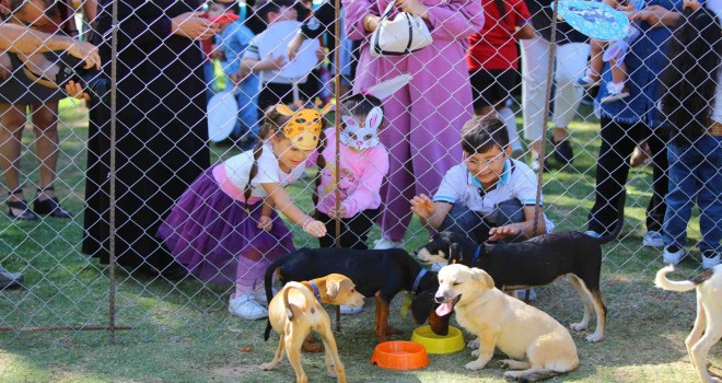 Karabağlar patili dostlar için buluştu