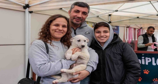 Yeni yıla sıcak yuvalarında girecekler