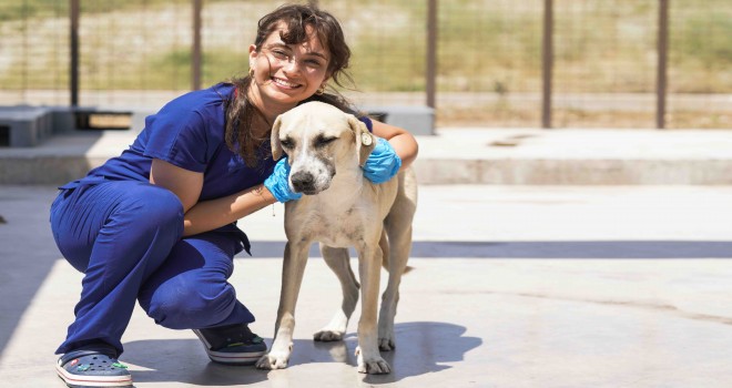 İzmir’deki barınaklardan 500 köpek sahiplendirildi