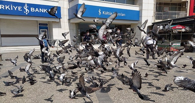 Karşıyaka can dostlarımızla kuşlara kaldı, onlar da unutulmadı