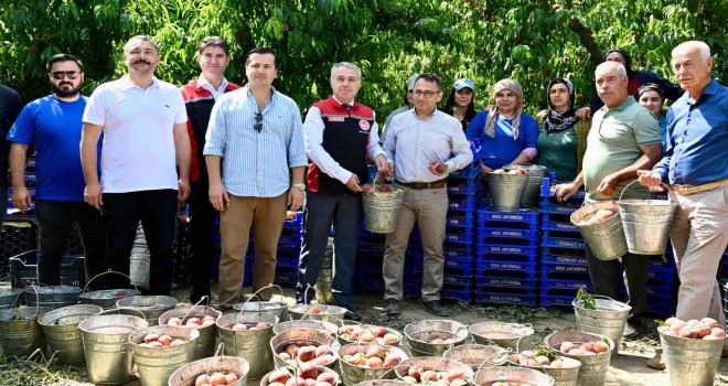 İzmir’den dünyaya şeftali