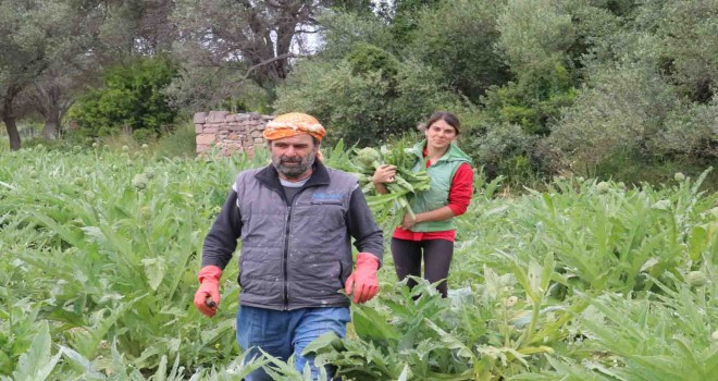 Başkan Oran: Üreticimizin mahsulünü tarlada bırakmayacağız