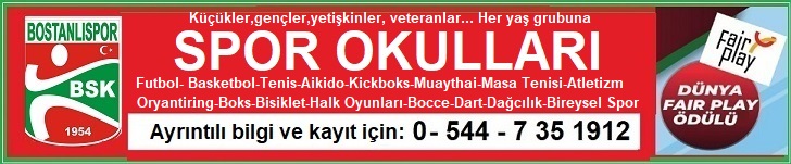 Logoyanı reklam 728px (erboy)