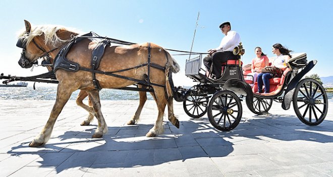 Alo Fayton hattı...