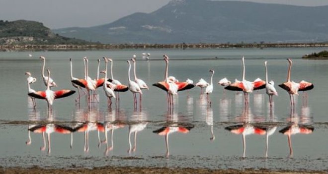 İzmir Körfez Geçişi projesi iptal edildi