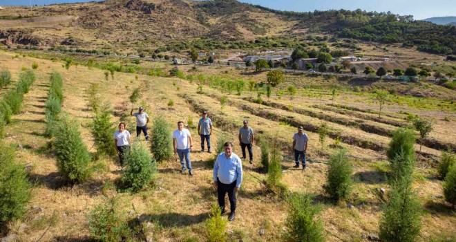 Karşıyaka’ya 32 futbol sahası büyüklüğünde orman