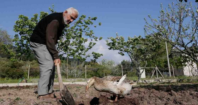 Yamanlar'daki dağ evlerine erken çıktılar...