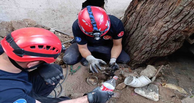 İzmir İtfaiyesi havalandırma bacasına sıkışan kediyi kurtardı