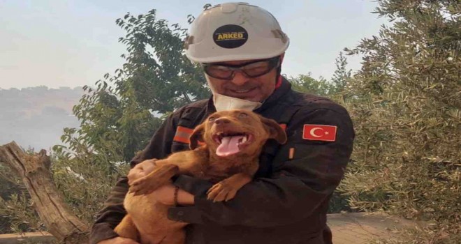 Karşıyakalı oyuncu Kaptanoğlu İzmir yangınında bir köpeği kurtardı
