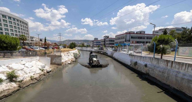 Kokuya karşı mücadelenin etkileri bu yaz görülecek