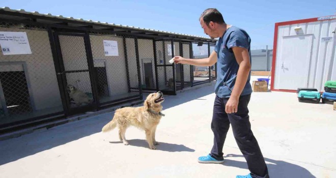 Bayraklı'ya ''Bakım Merkezi'' müjdesi