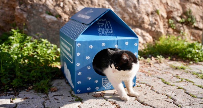 Çeşme Belediyesi’nden sokaktaki minik patilere sıcak bir yuva