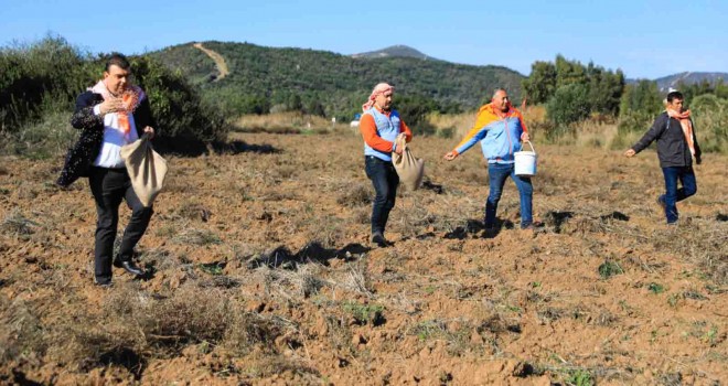 Atalık Karakılçık Buğday ekimi başladı