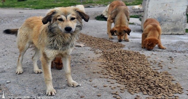 Can dostları unutulmadı