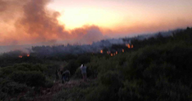 Urla’da yangın kontrol altına alındı