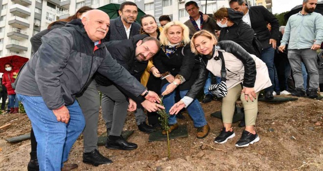 Zeytin Fidanları Çiğlili Kadınların Elinde Hayat Buldu