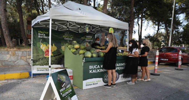 Buca’da Belediye-Kooperatif işbirliği, tarımı canlandırdı