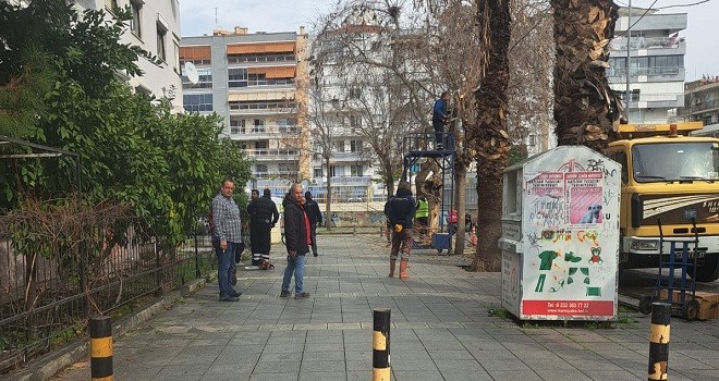Şehitler Bulvarı'ndaki ağaçlar budanıyor...
