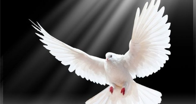 1 Eylül Dünya Barış Günü'nde Zülfü Livaneli, Nükhet Duru ve Zuhal Ocay İzmirlilerle buluşacak