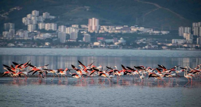 İzmir doğal yaşamla bütünleşecek