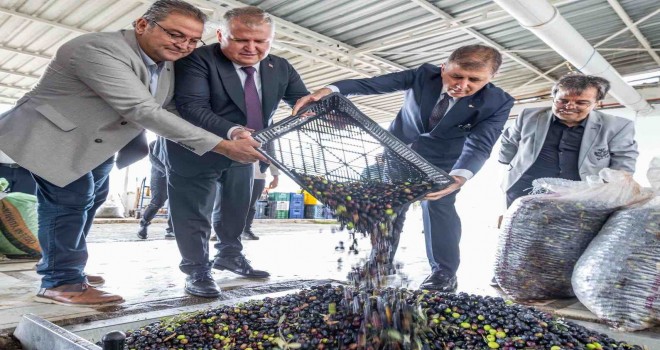 Sezonun ilk zeytinyağı Başkan Tugay’dan