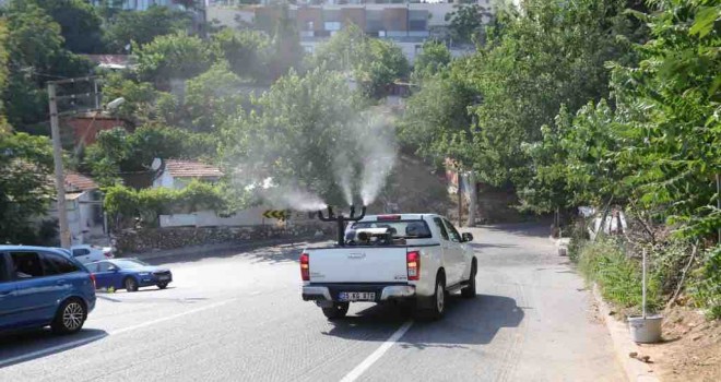 Bayraklı’da ilaçlama seferberliği