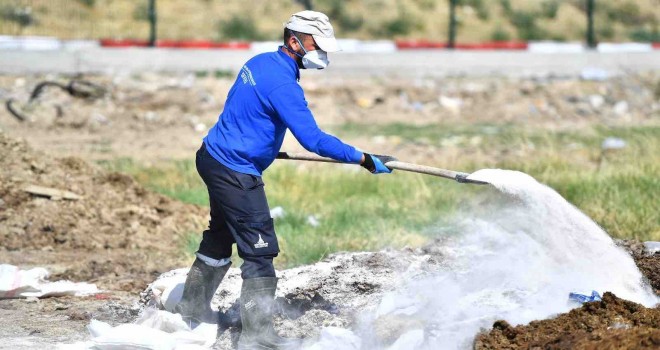 Sinek ve haşerelere karşı mücadele sürüyor