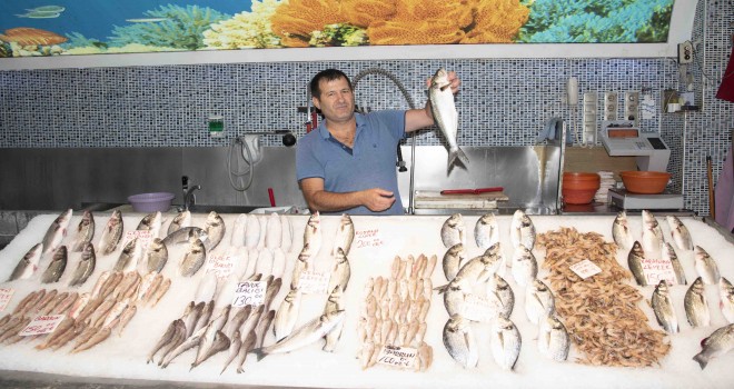 Yasak kalktı balık tezgahları doldu