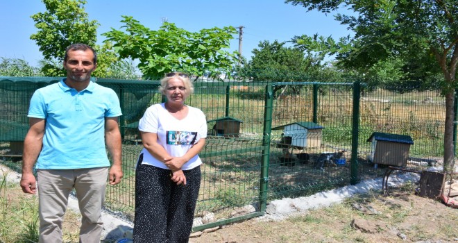 Hayvanseverler istedi belediye yaptı