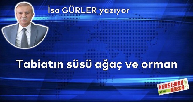 Tabiatın süsü ağaç ve orman