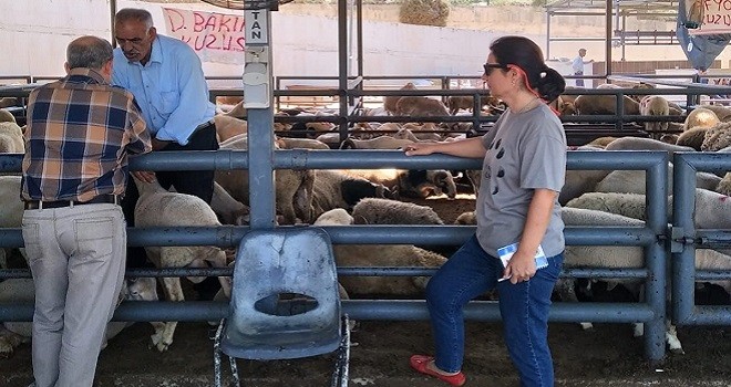 Kurban Bayramı tatili belli oldu