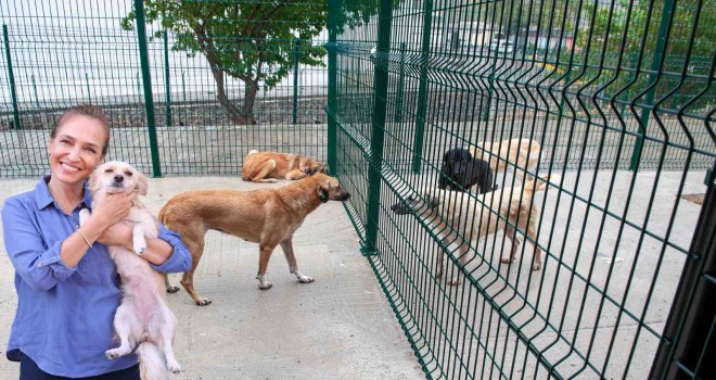 Bakioğlu Can Dostlarımız Yaşam Merkezi ve Bakımevi açılıyor